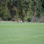 20160417-CA-24429